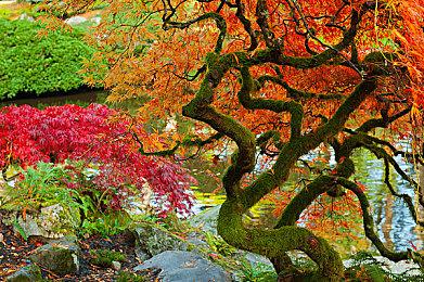 《戴森球计划》黑雾崛起实机预告 2023更新上线